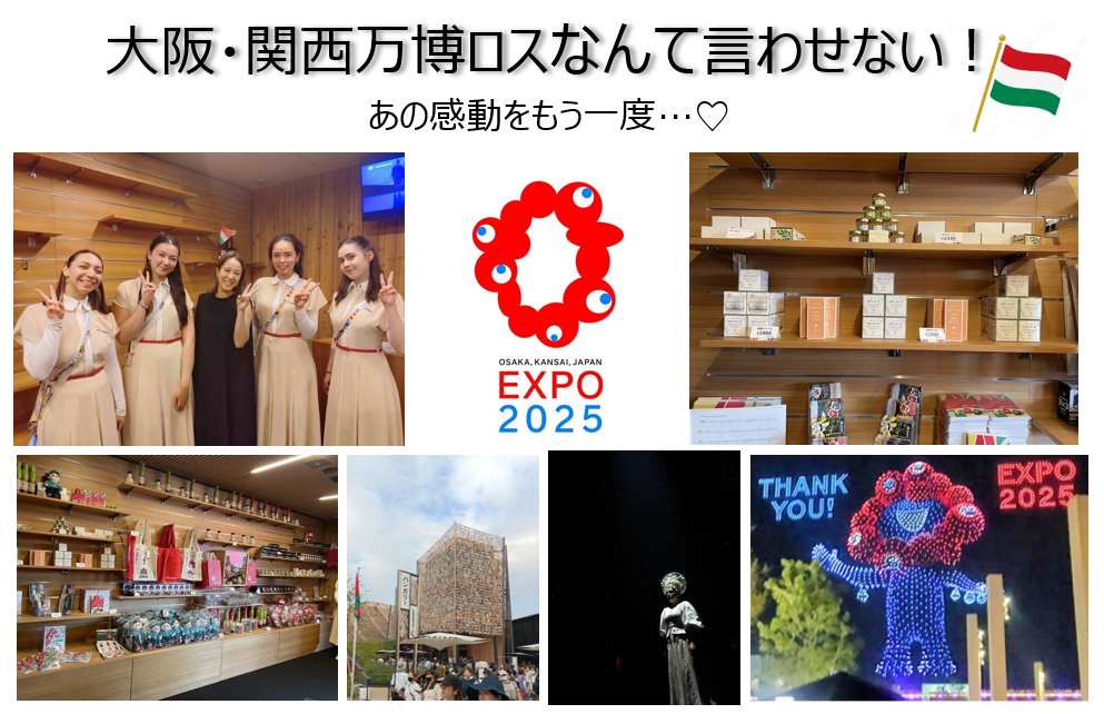EXPO2025 ハンガリーパビリオンセット